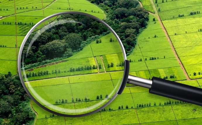 Як продати землю (пай)?