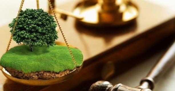 Аграріїв запрошують до участі у земельних торгах 23 лютого на території Белзької ТГ