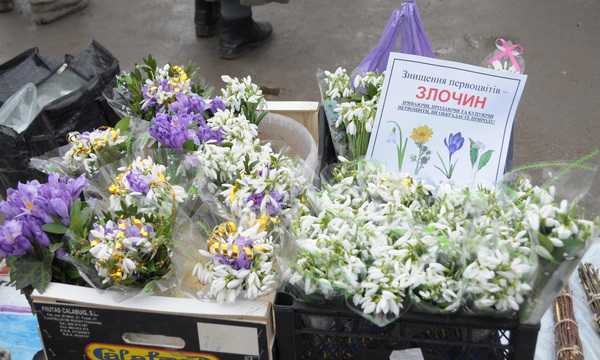 Мешканцям області нагадують: за знищення або незаконне вилучення ранньоквітучих рослин з природного середовища загрожують штрафи