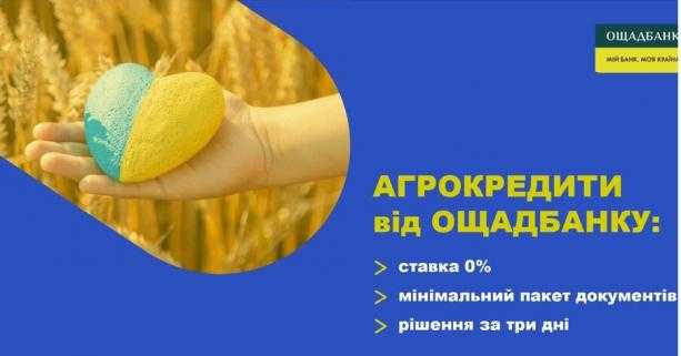 Програма підтримки аграріїв на весняно-польові роботи від Ощадбанку: як залишити заявку