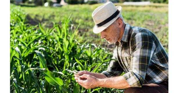 Мінагрополітики змінило порядок бронювання військовозобов’язаних для потреб агросектору