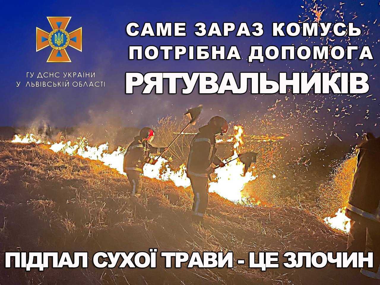 Спалювання сухої трави – злочин: рятувальники за добу ліквідували 4 пожежі в екосистемах