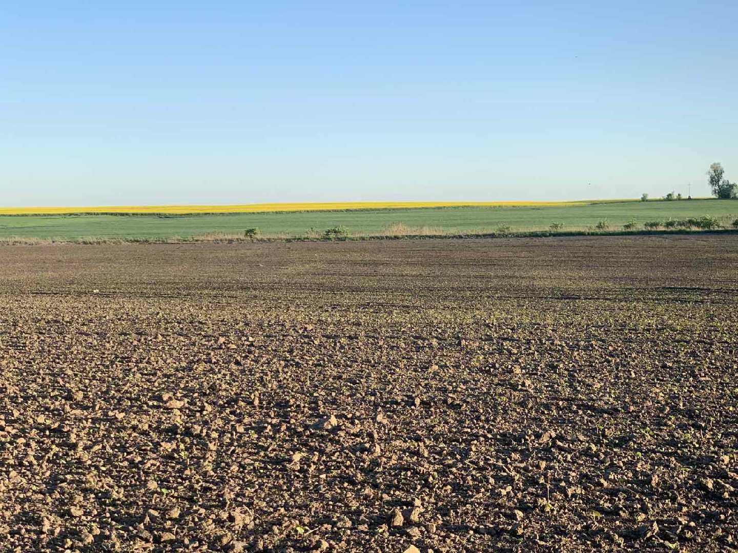 На Червоноградщині триває посівна кампанія