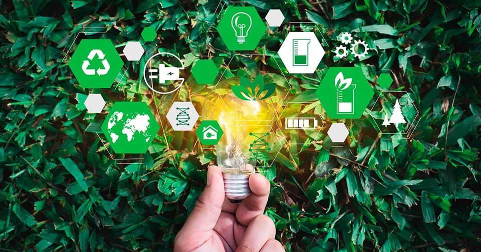 Відкриті можливості для бізнесу, який працює над збереженням довкілля