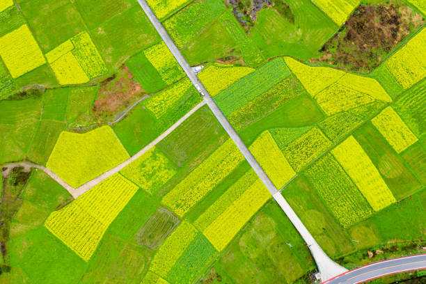 Регулювання земельних відносин у воєнний час: до земельного законодавства України внесли зміни