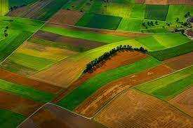 Обласні та районні військові адміністрації набувають нових повноважень щодо регулювання земельних відносин в умовах воєнного стану