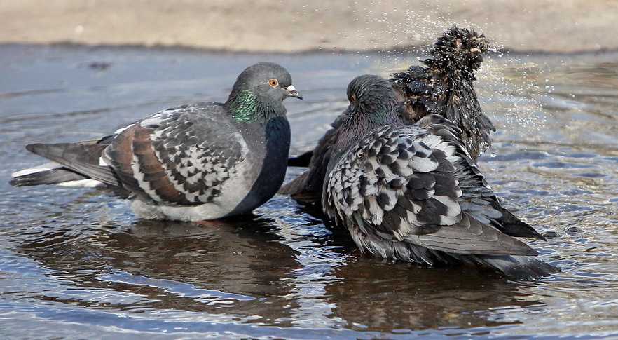 Мешканців області попереджають про грози