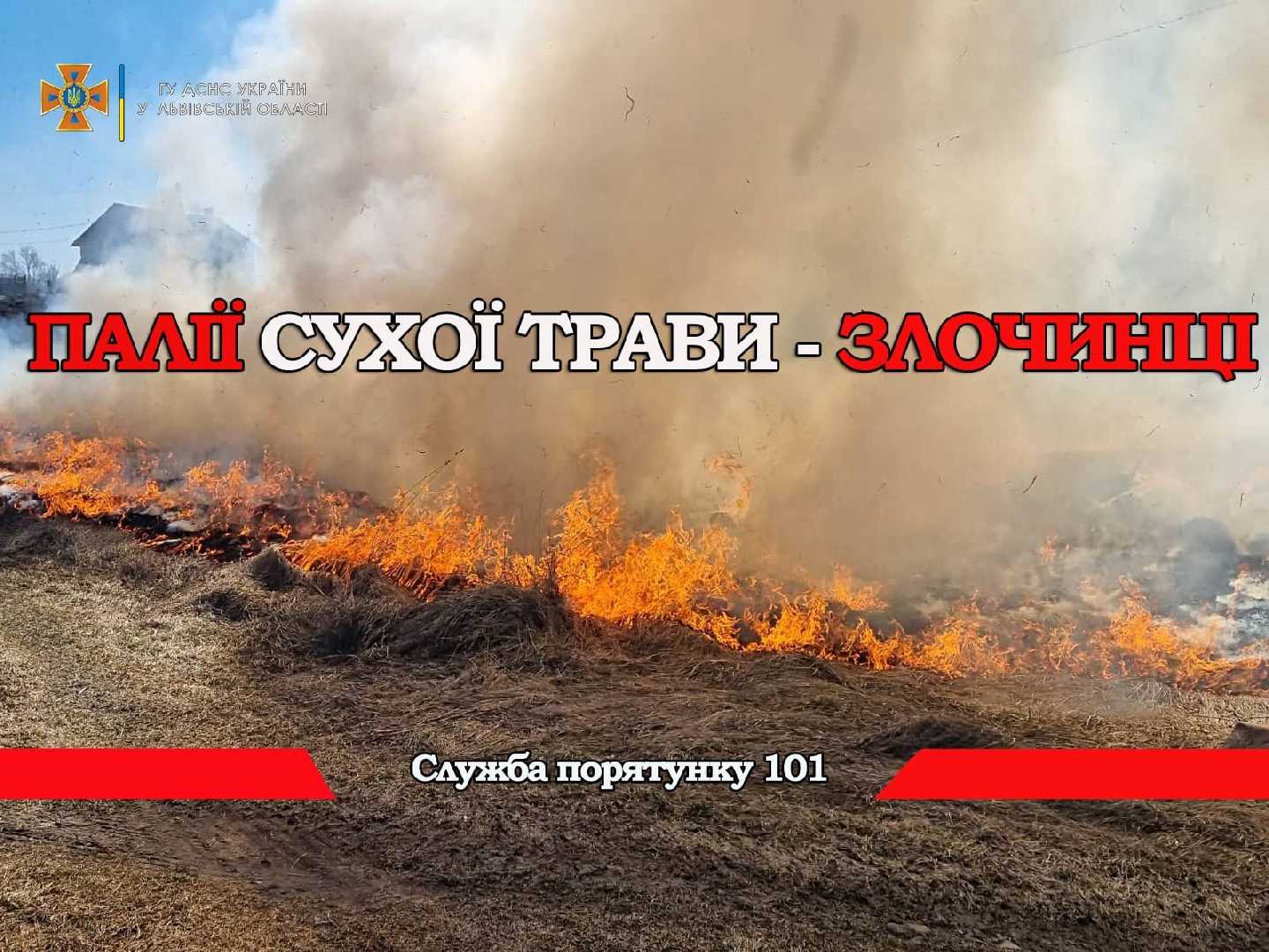 Понад 20 пожеж за добу: рятувальники Львівщини закликають не спалювати сухостій