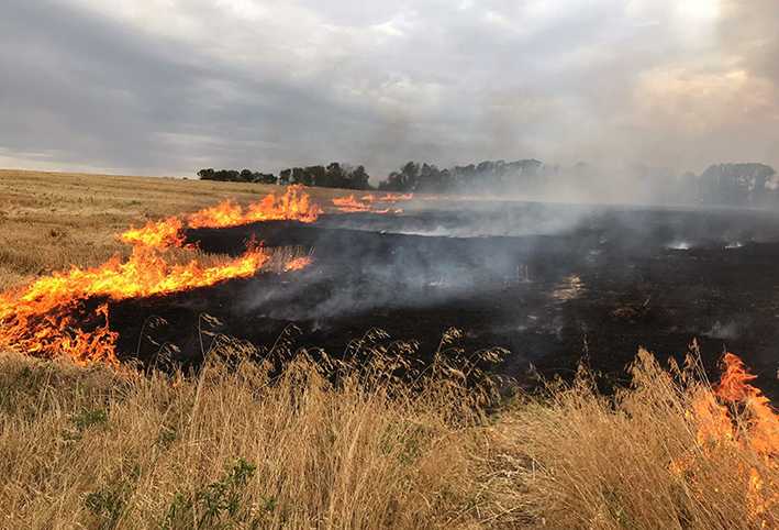 Червоноградське районне управління ГУ ДСНС України у Львівській області попереджає про недопущення пожеж в екосистемах
