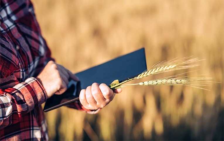 Львівщина лідер по реєстрації у Державному аграрному реєстрі