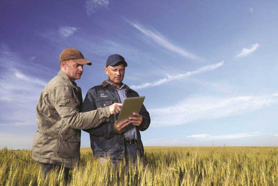 З вересня сільгоспвиробники зможуть отримати фінансову допомогу від ЄС через Держреєстр: умови