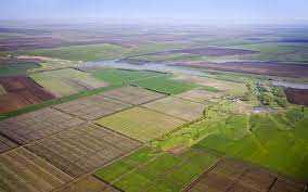 До уваги аграріїв: до земельного законодавства України внесуть зміни 