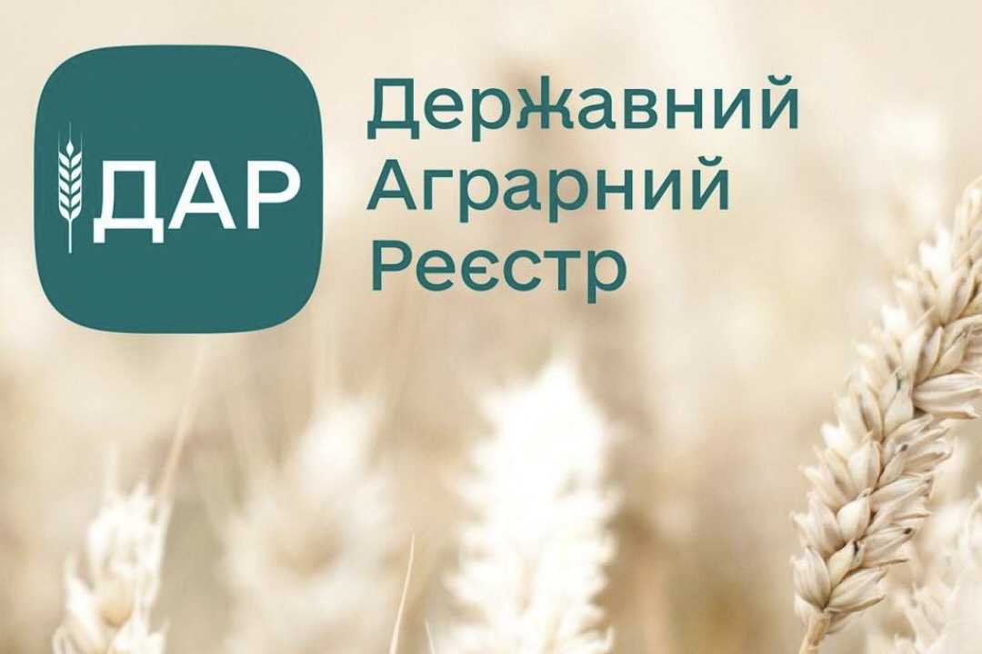 Міагрополітики роз'яснює, як отримати дотацію за утримання корів через ДАР