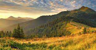 Стрімкі гірські потоки та вільхові ліси: запрошуємо в мандрівку національним природним парком «Бойківщина»