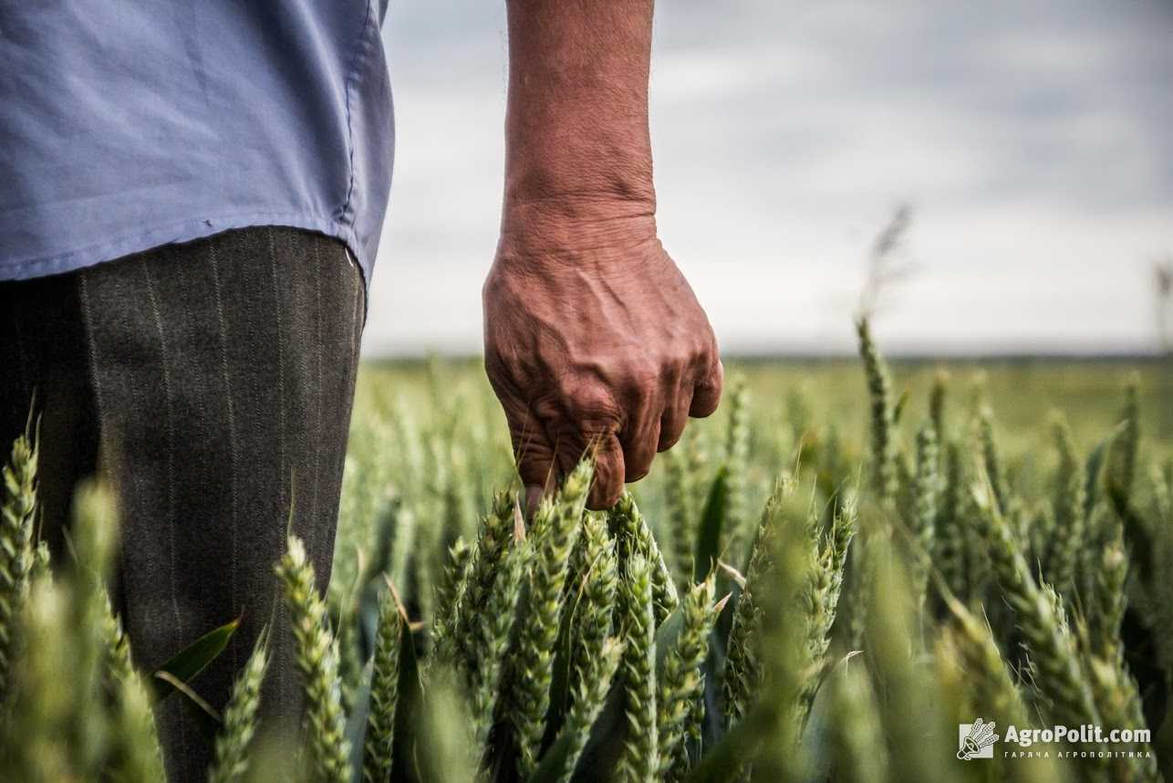 Шановні аграрії нашого району! Запрошуємо пройти опитування задля адаптації обласної програми фінансової підтримки