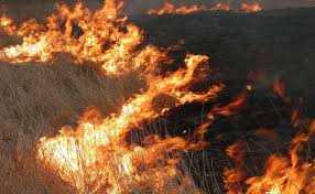 Не нехтуйте правилами пожежної безпеки - бережіть екосистеми