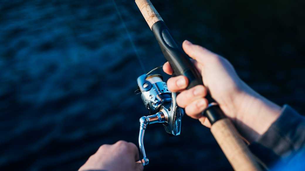 Почався нерест: з 1 квітня на Львівщині заборонять ловити рибу