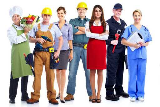 Найпопулярніші професії ринку праці у Львівській області