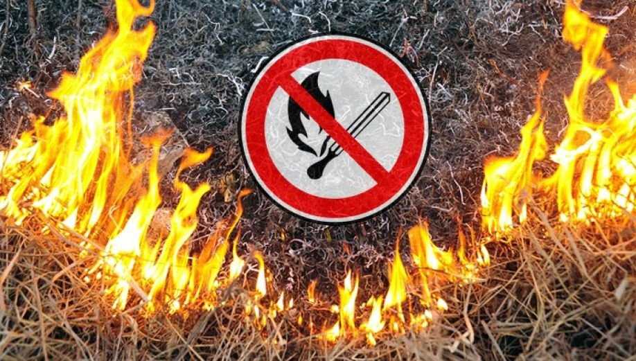 Увага!!! Спалення сухостою на відкритих ділянках карається штрафом до 6 тисяч гривень