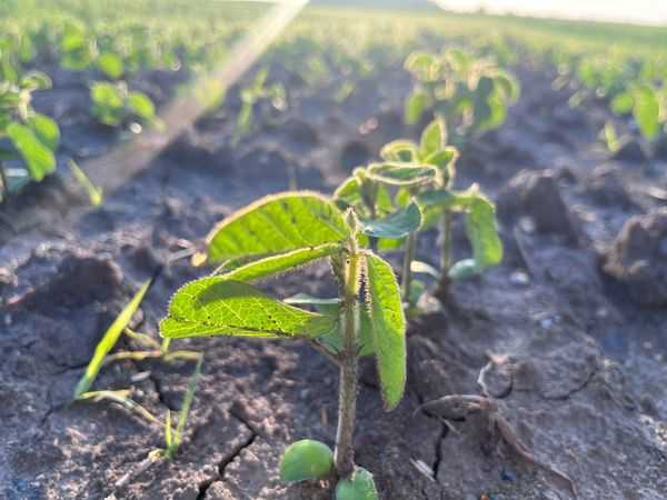  Посівна кампанія Червоноградщини