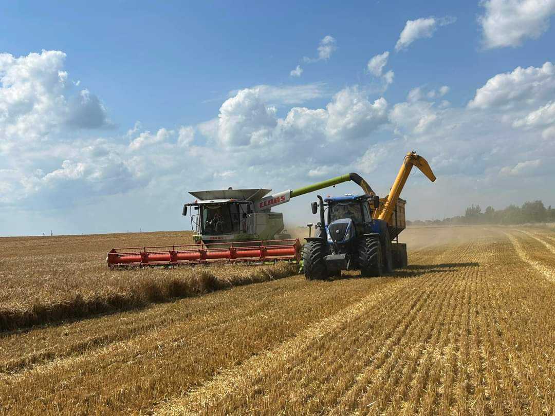 З новим — зерновим!