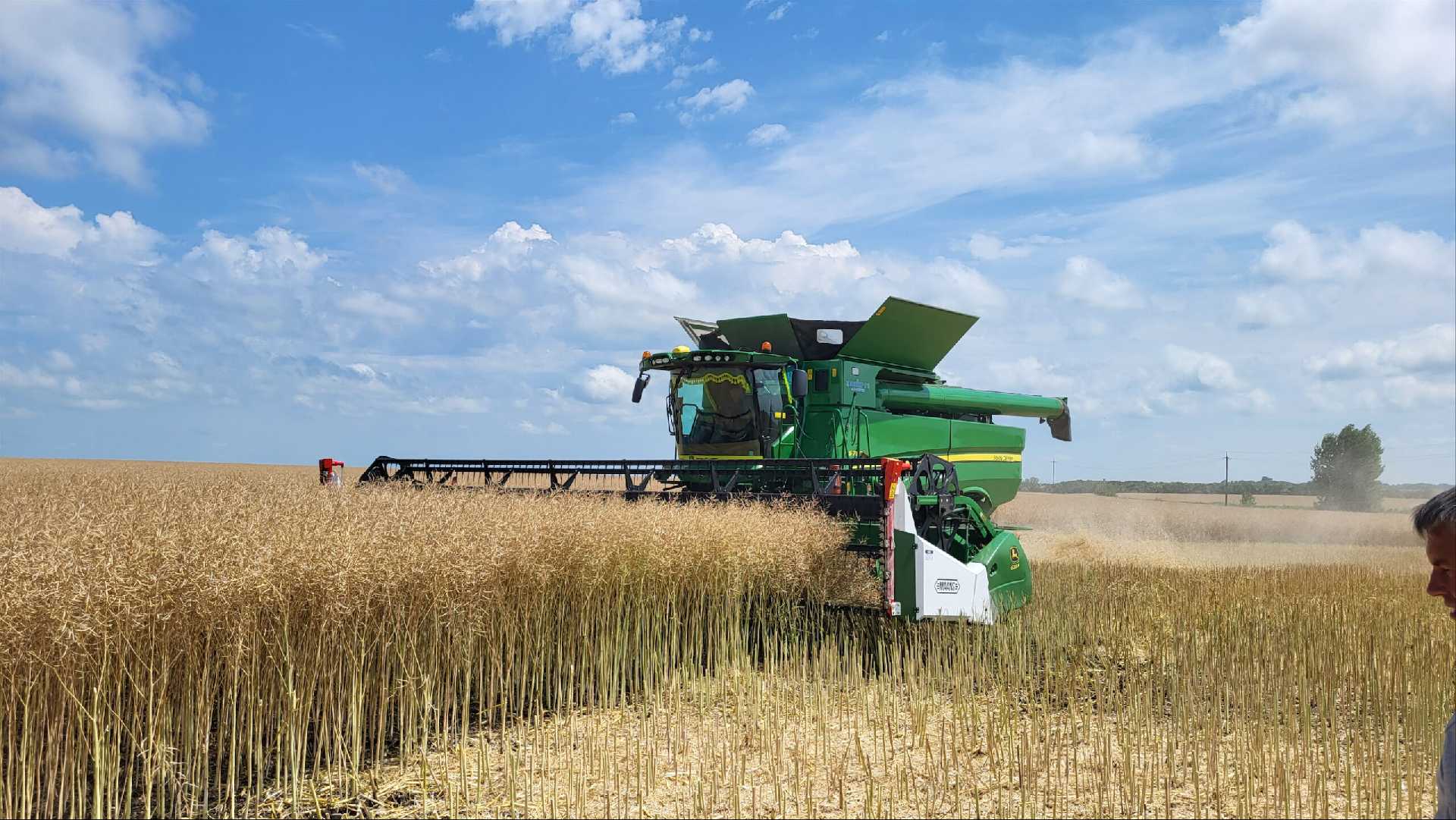 Як проходять жнива в Червоноградському районі