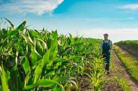 До уваги аграріїв: з 9 січня стартує серія вебінарів в межах інвестиційної програми ФАО