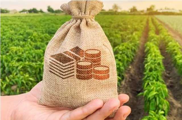 Комплексна програма підтримки та розвитку сільського господарства у Львівській області на 2021 – 2025 роки