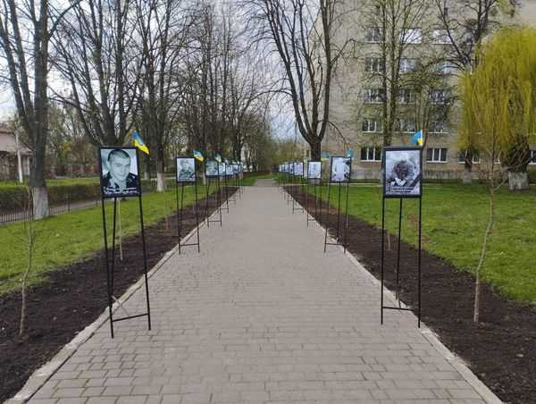 Біля Сокальського ліцею висадили алею магнолій в пам’ять про загиблих на війні випускників