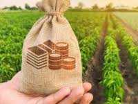 До уваги аграріїв! Оголошується прийом заявок за трьома напрямами бюджетної підтримки