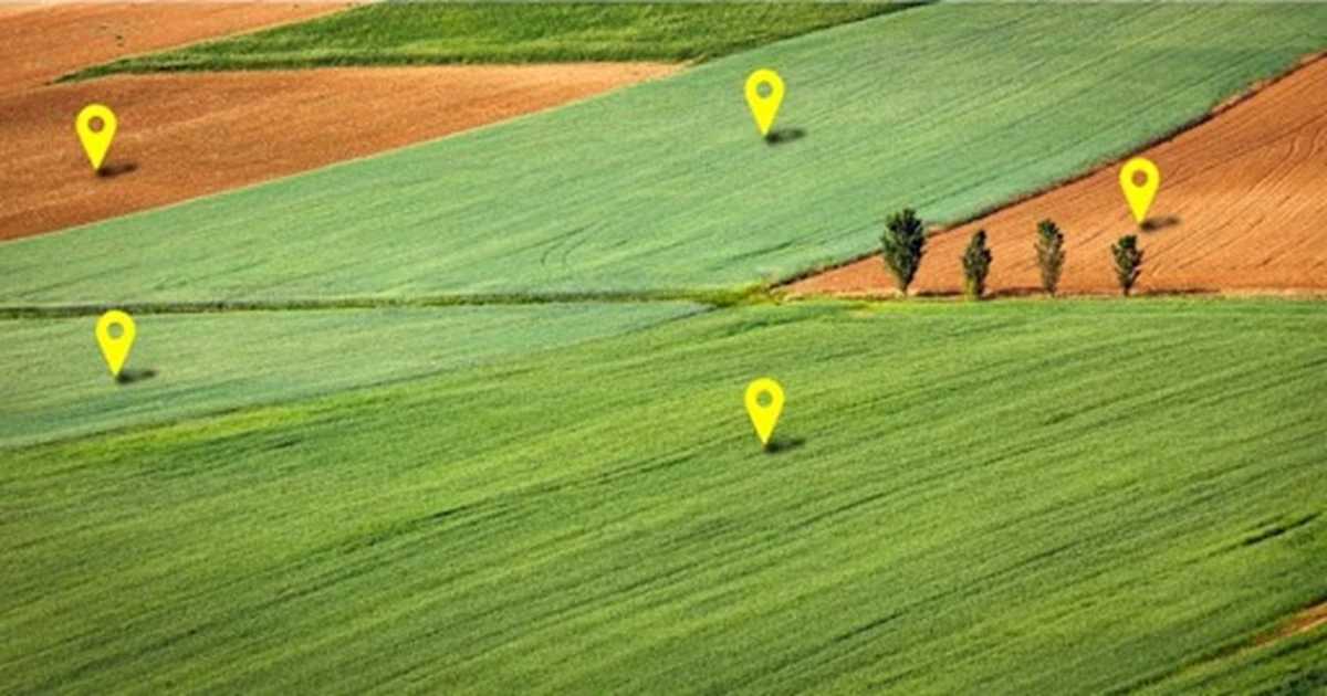 До уваги аграріїв: на Белзщині відбудуться електронні земельні торги