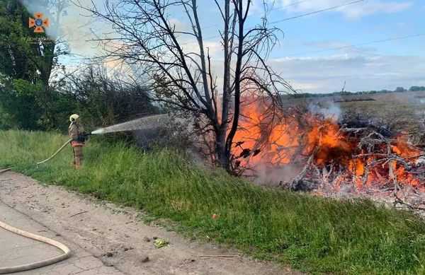 Заборона спалювання сухої рослинності