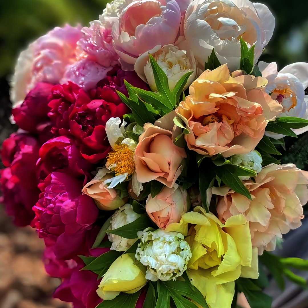 Про історію квіткового успіху Світлани Мощич - переможниці Конкурсу бізнес-ідей та стартапів