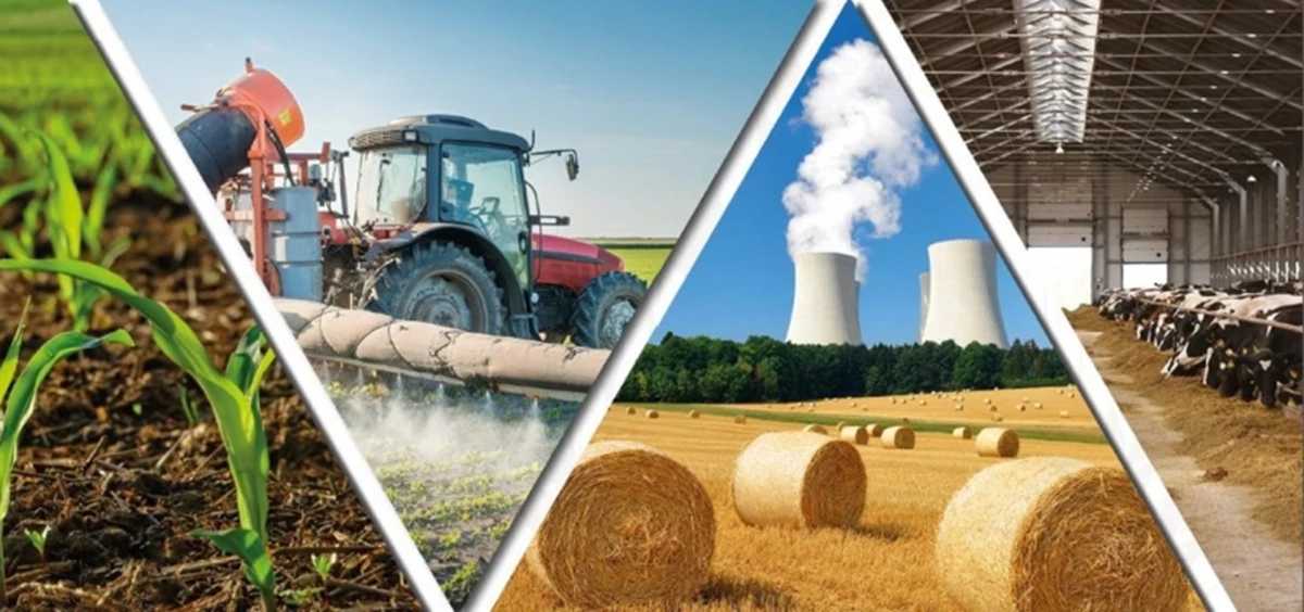 Львівська ОВА розпочинає прийом заявок від аграріїв на отримання фінансової допомоги: про які суми йдеться