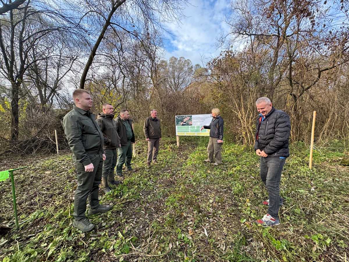 В області працюють над масштабним залісненям земель