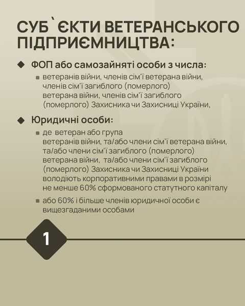 Верховна Рада прийняла законопроєкти щодо пільг на підприємництво та посилення соціального захисту ветеранів