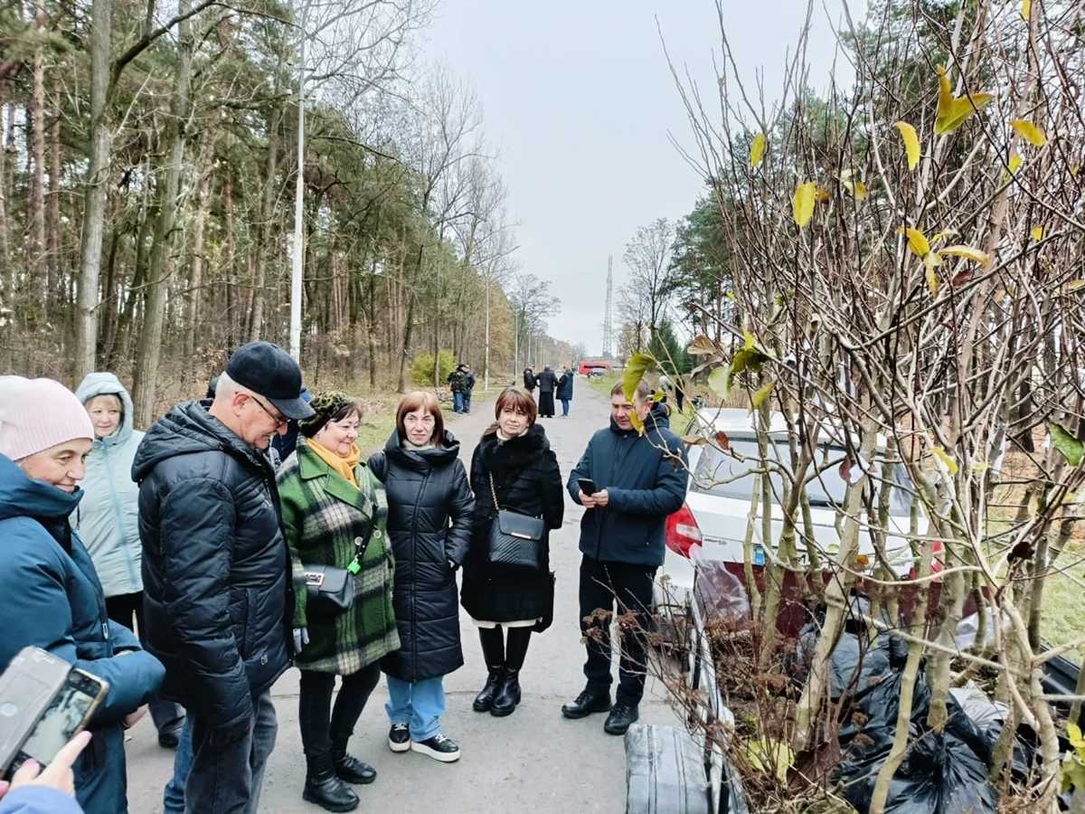 У Соснівці висадили алею магнолій