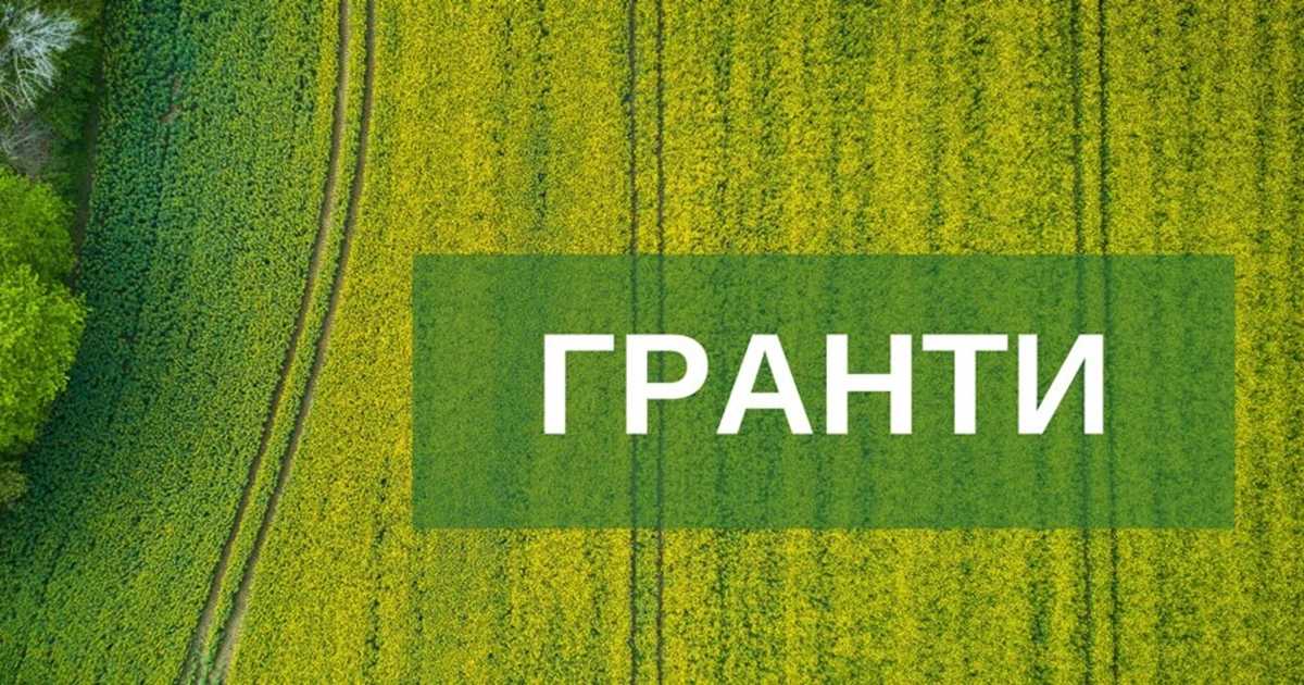 До 50 тисяч євро можуть отримати агровиробники на розробку бізнес-моделей у сфері інновацій: деталі