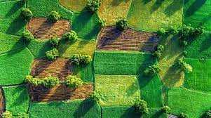 На онлайн-аукціон виставили ще одну земельну ділянку в Шептицькому районі