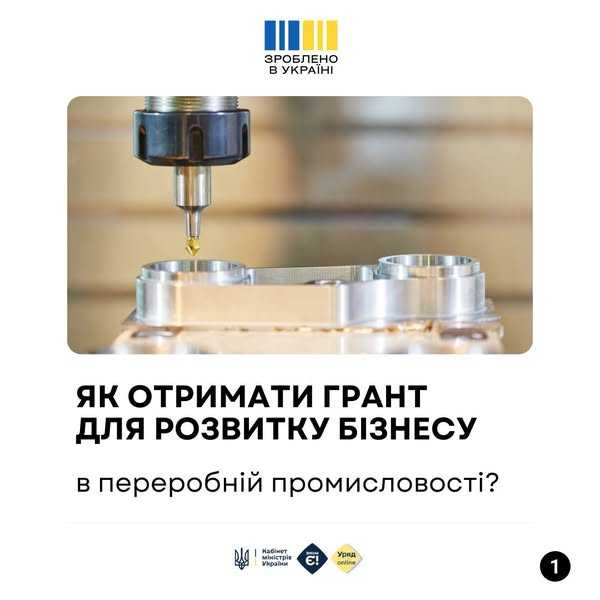 Як отримати грант для розвитку бізнесу в переробній промисловості