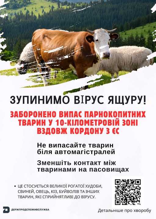 Поблизу України зафіксовано спалах небезпечного вірусу «ящур» – в західних областях посилено контроль