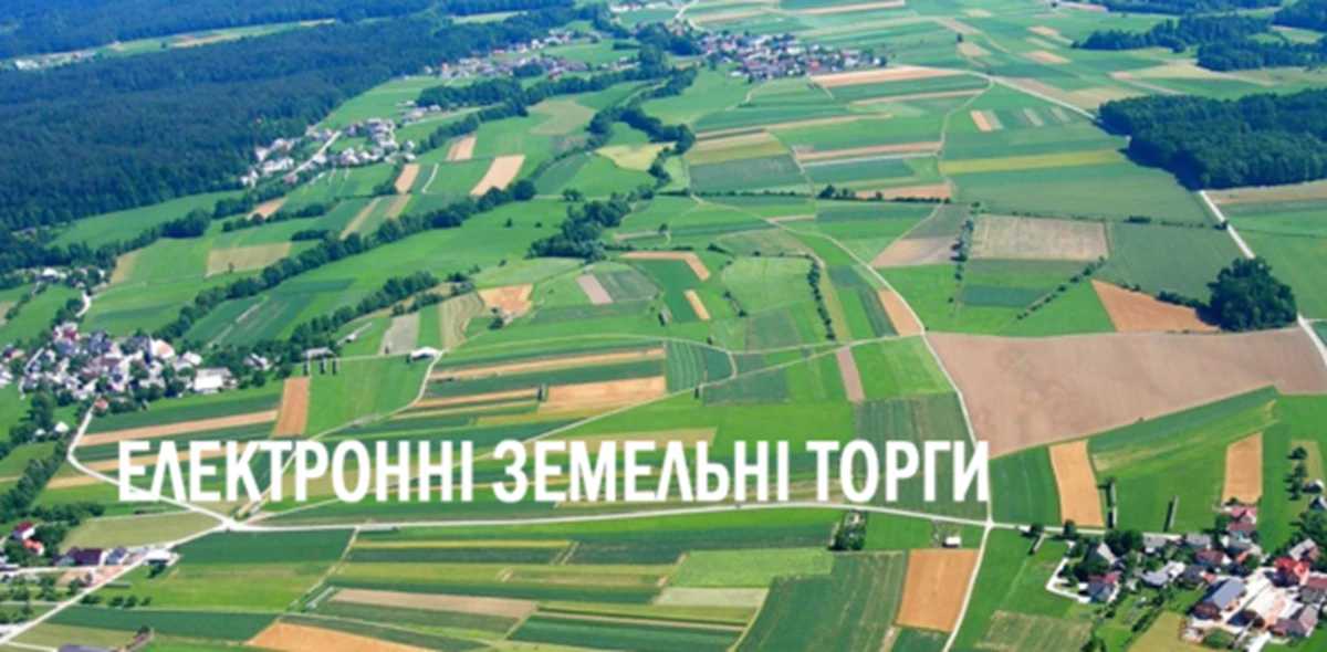 На онлайн-аукціон виставили 6 земельних ділянок