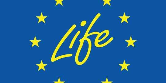 Інформує про початок збору проєктних заявок у межах Програми LIFE 2025