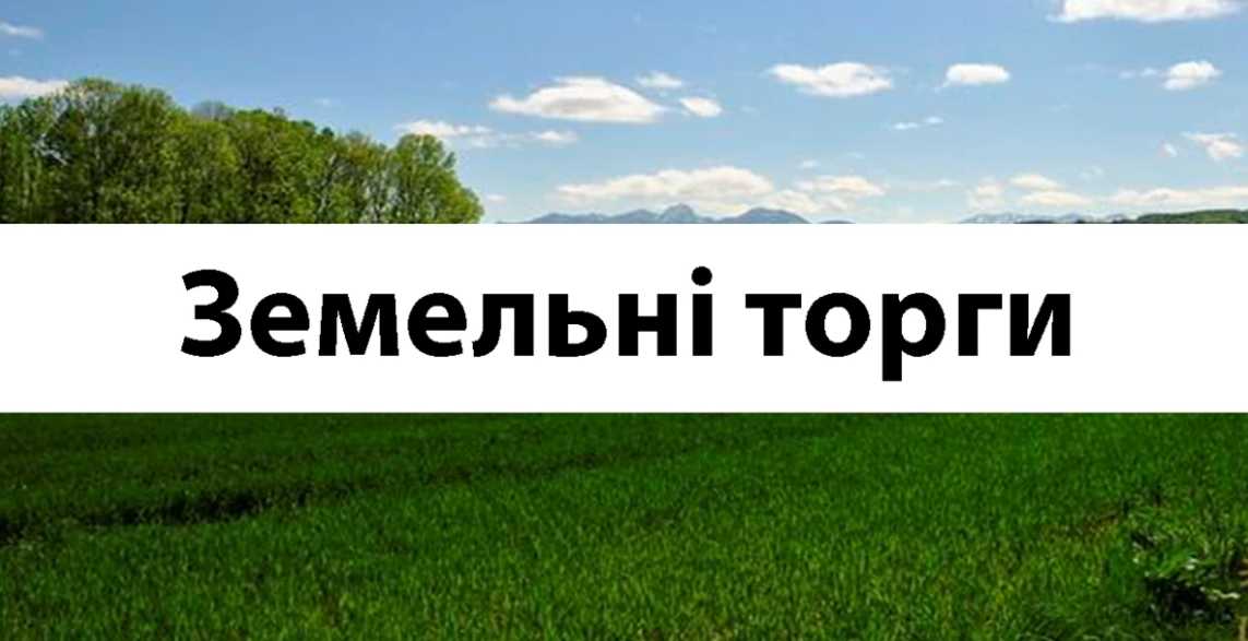У Шептицькому районі на продаж виставили дві земельні ділянки
