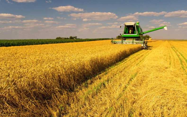 Жнива-2025 на Львівщині: аграрії вже обмолотили понад 18 тисяч гектарів, однак погода диктує виклики