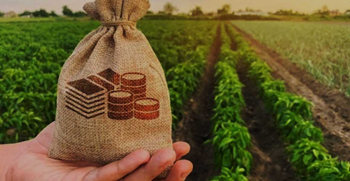 Фінансова підтримка для ФГ і СФГ: хто має право та як подати заявку