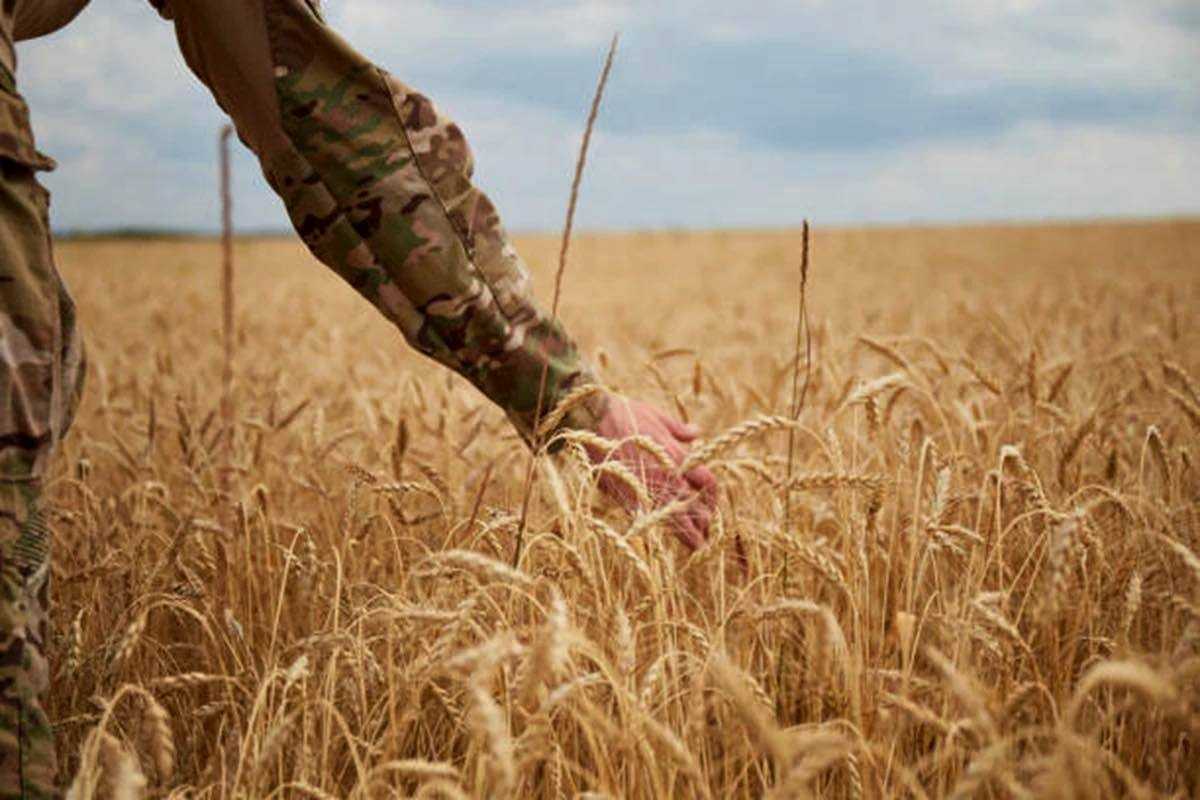 Учасники, ветерани бойових дій, члени їхніх сімей, які розвивають агробізнес, можуть отримати підтримку з обласного бюджету