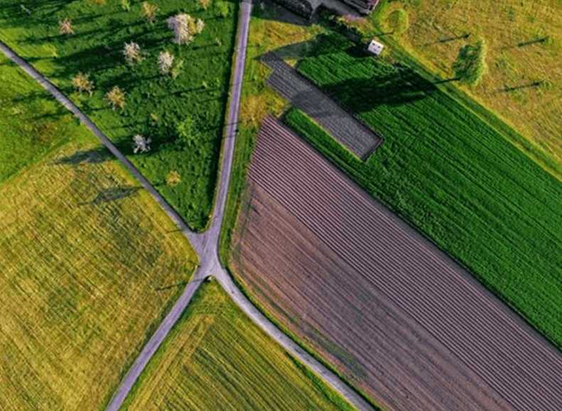 Аграріїв Львівщини запрошують взяти участь в земельних торгах
