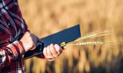 До уваги аграріїв: яких змін зазнав Державний аграрний реєстр