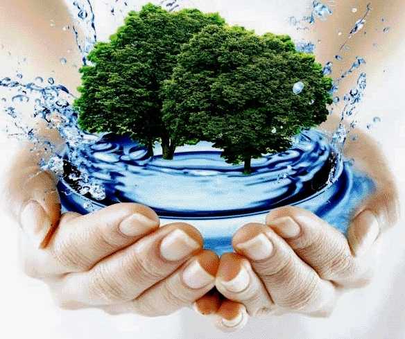 Оцінка впливу на довкілля